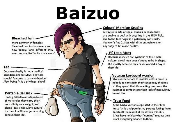 baizuo-web