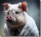 porco com oculos web